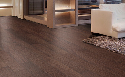 第二階段（2001-2010）